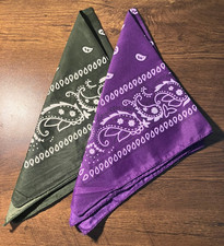 Pocket Square Handkerchiefs Pair Paisley Floral Purple  Green