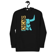 AJ 11 Hoodie to Match Gamma Basketball Bull Sneaker Matching Graphic Sweatshirt