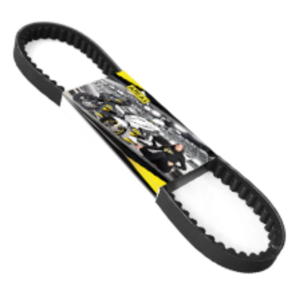 Area1 Variomatik Wandler Keilriemen Set Peugeot Speedfight 1,2 Elyseo Elystar - Bild 3 von 4