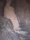 Picture 8 of 11