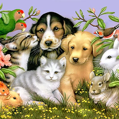 Organic Emu Oil Dog Cat Horse Shampoo Conditioner - Best for Shine, Health, Show