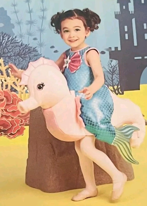 Ride In Seahorse Costume Ride In Seahorse Costume
