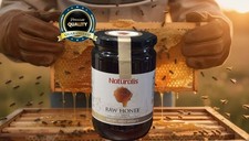 Naturalis Raw Honey 30 oz U.S. Grade A High Harvest 100 Pure Free Ship
