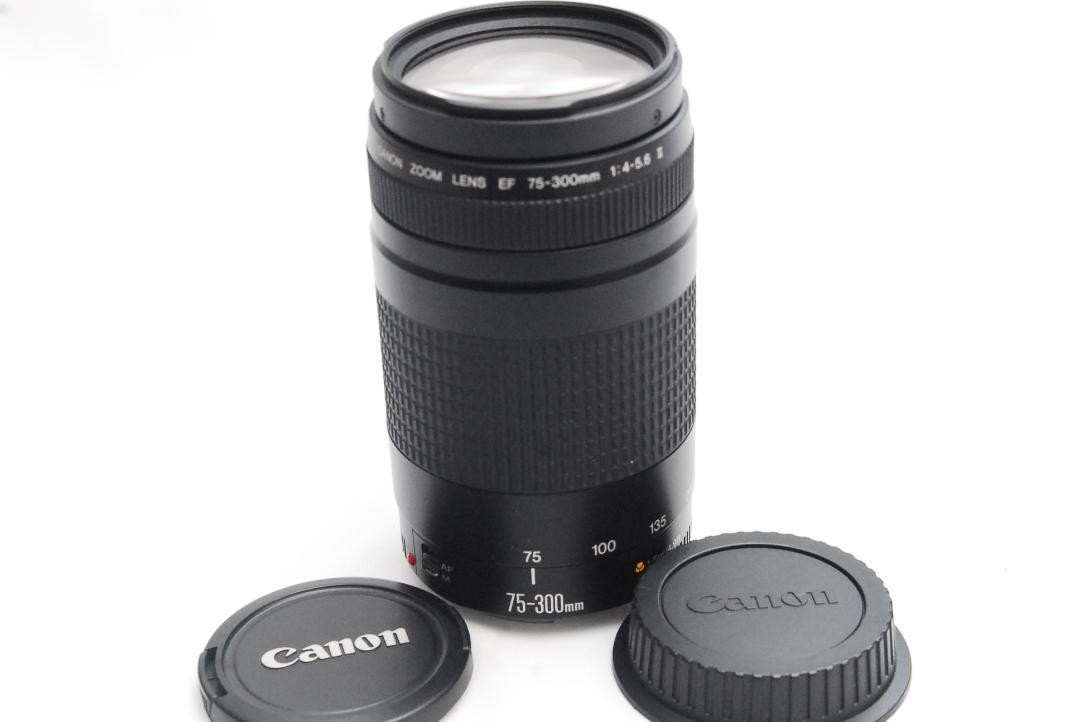 CANON ZOOM LENS EF 75-300mm 1:4-5.6Ⅱ Canon Zoom Lens Ef 75-300Mm 1 4-5.6 Ii | eBay