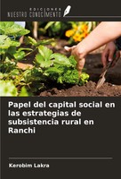 Kerobim Lakra | Papel Del Capital Social En Las Estrategias De Subsistencia...
