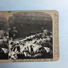 WW1 Military Stereoview C1916 Real Photo Colchester  Essex  Zeppelin Crew