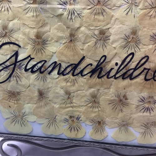 ”Grandchildren” Mothers Day Tabletop flip album Holds 60 Photos Pressed Flowers - Picture 3 of 4