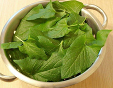 25 Good King Henry Spinach Seeds - Heirloom Perennial