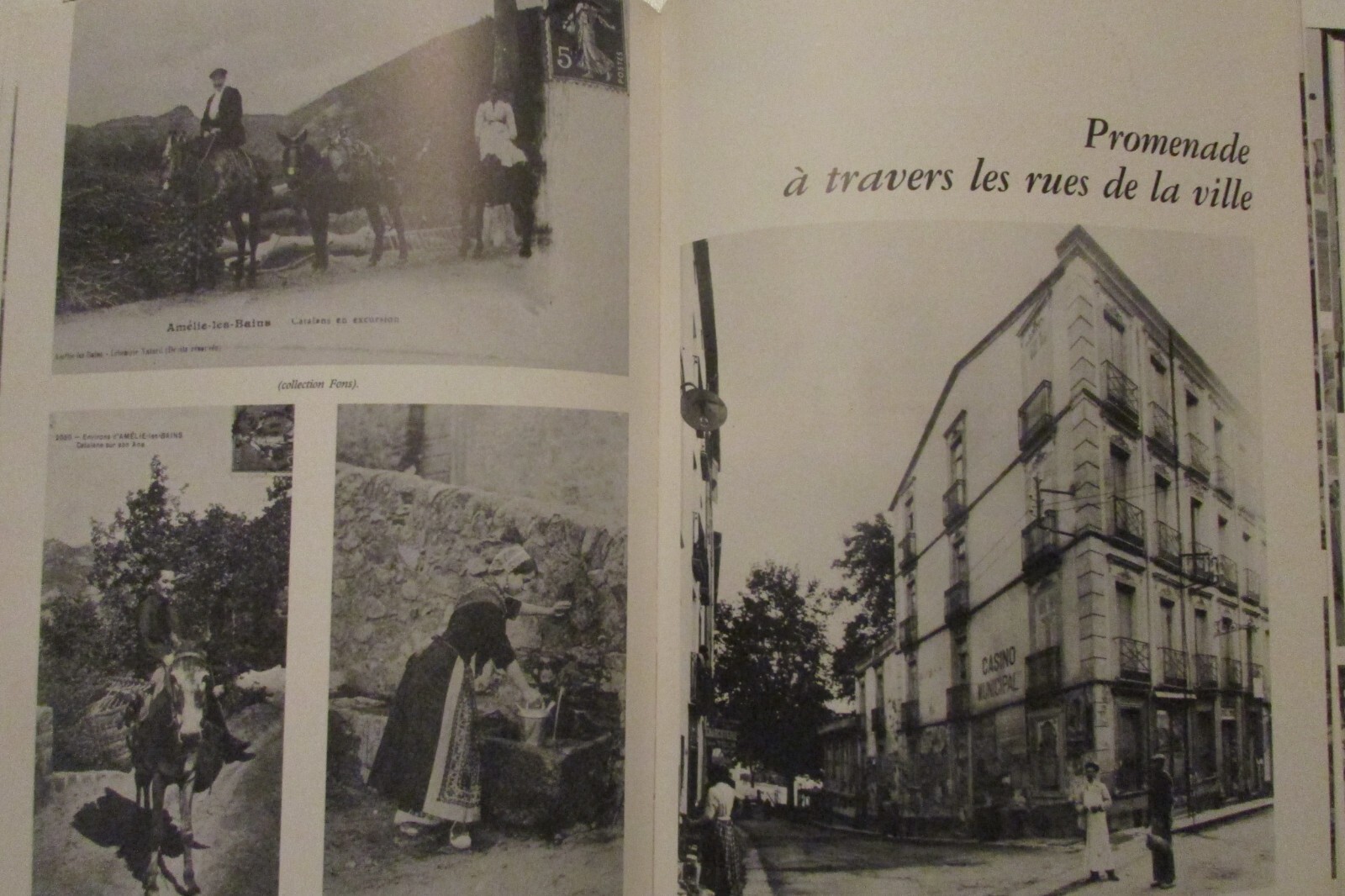 Picture 6 of 9