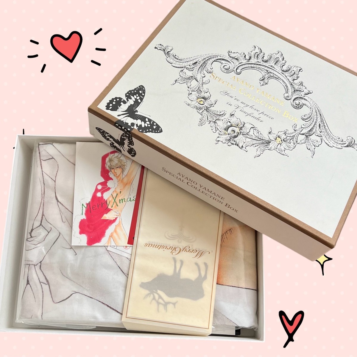 AYANO YAMANE SPECIAL COLLECTION BOX ファインダーシリーズ やまね