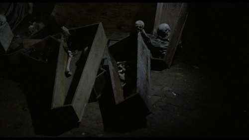 NOSFERATU IN VENEDIG - 2-Disc Mediabook - Limited Edition (Blu-ray + DVD) NEU - Picture 6 of 7
