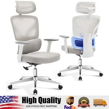 Office Chair Ergonomic Desk Chair,Home Desk Chair with Adjustable Lumbar Support