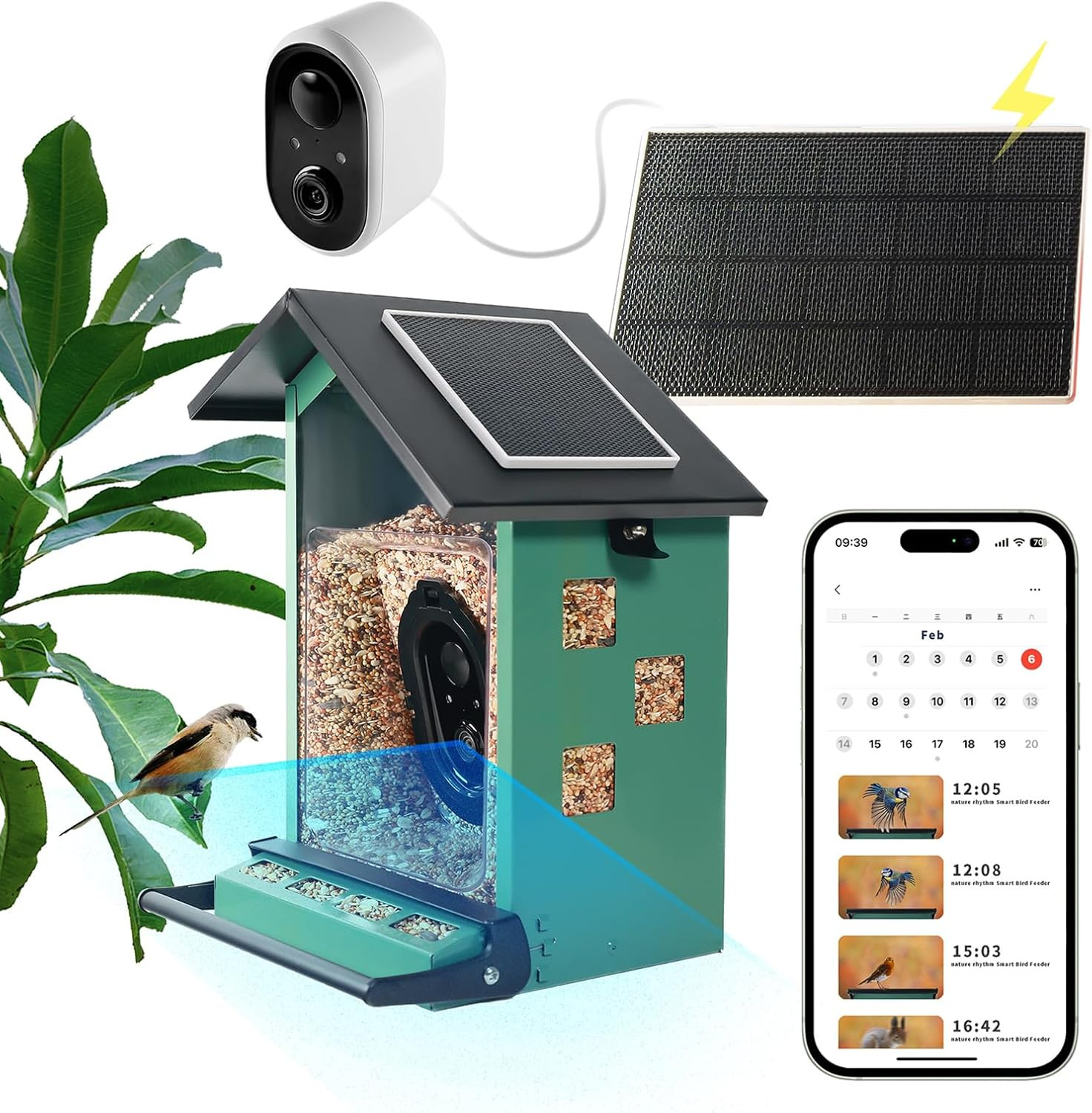 With Camera - Enjoy Watching Birds Feed!