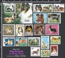 [coll] Frame it - Dog Breeed COLLIE - 17 Diff Stamps & 1 Souvenir Sheet - VF