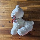 Foto 2 di 6