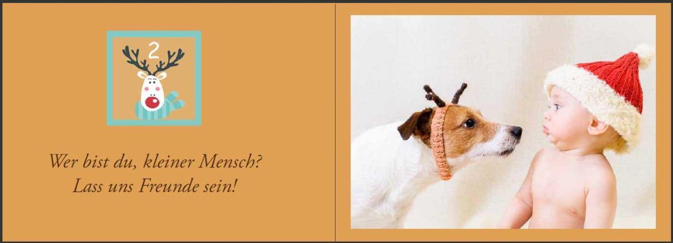 Thumbnail - Baby Adventskalender - Ein Zauberhaft Fotografierter...