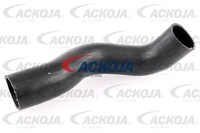 Ackoja Ladeluftschlauch A38-0307 Passend FüR Nissan Opel