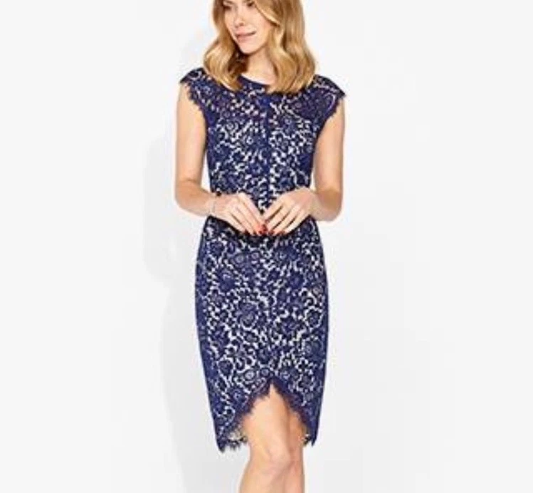 chinese dress ladies The Elsie Dress in Victorian Blue Roses 2