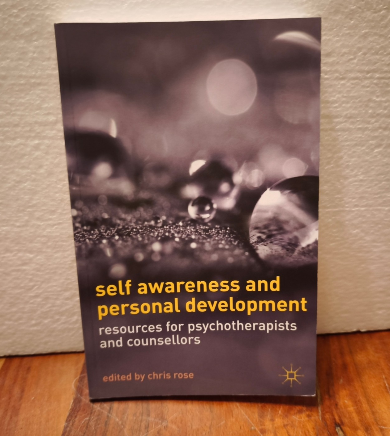 Self Awareness and Personal Development: Resources for... - Rose, Chris - Image 3
