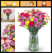 Spring Mini Carnations - Fresh Flowers Delivery - Easter Gifts & Decor - 20 Stem