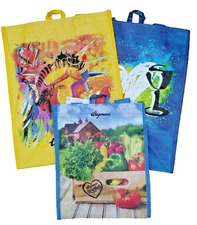 3 Pc Combo of Wegmans Reusable Shopping Tote Bags 2/With Support Liner 1 Mini