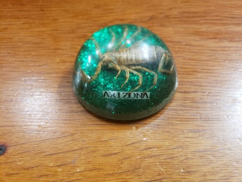 1970's Arizona Scorpion in Lucite Acrylic Paperweight