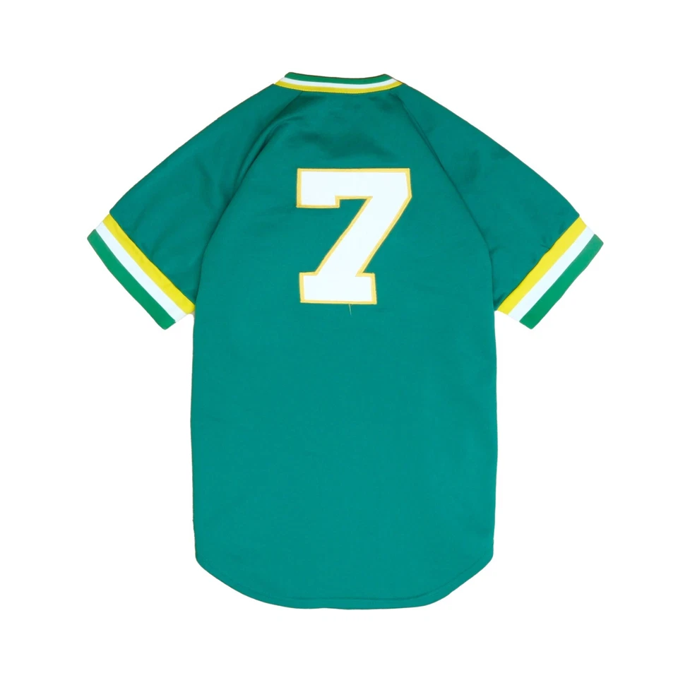 Camiseta de beisebol vintage South Florida Bulls Wilson tamanho 40 anos 70 NCAA - Imagem 2 de 4