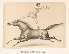 13623.Poster print.Room Wall.Home art design.Circus acrobat riding black horse