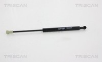 Triscan Heckklappen DäMpfer Gasfeder Kofferraum 8710 38226 FüR CitroËN C5 3 Hdi