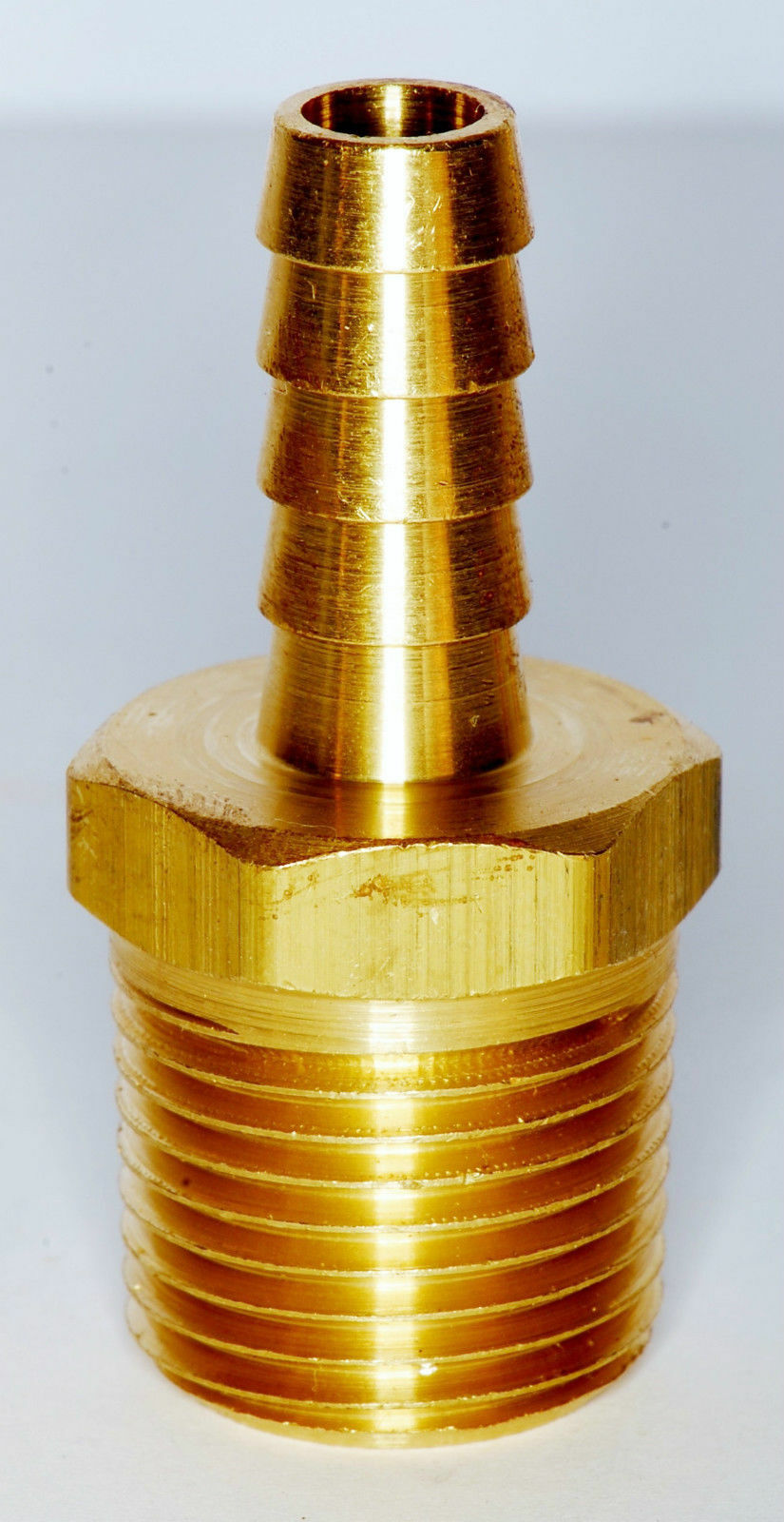 Picture 6 of 6