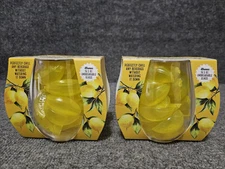 Lemon Chillers Reusable Ice Cubes Set with 2 Unbreakable Glasses