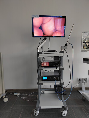 Full HD 1080P Portable Endoscope Camera System With Light Source for Laparoscopy