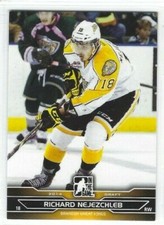 2014 ITG Draft Prospects #41 Richard Nejezchleb