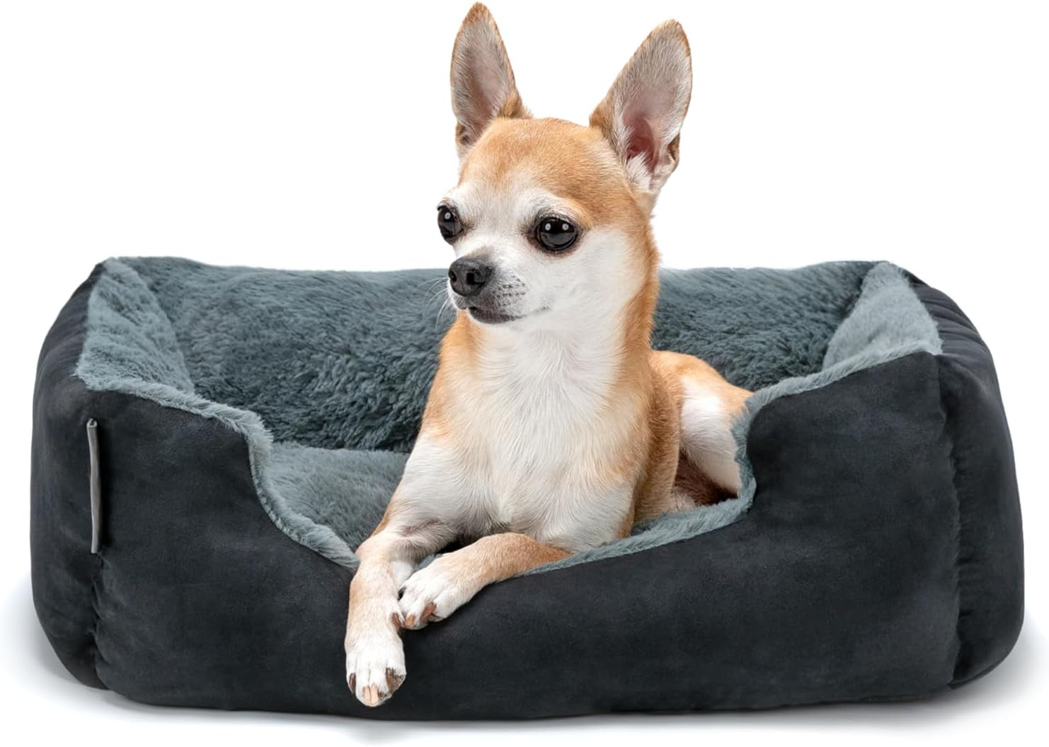 Letto per Cani Con Cuscino Reversibile E Base Antiscivolo, Cuscino Robusto Con I