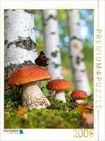 Calvendo Puzzle Red-Capped Mushrooms And Butterfly | 2000 Pieces, Finished Size