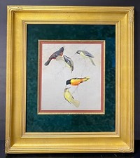 Roger Tory Peterson Original Bird Art Painting Orioles, c1950-60's, Framed