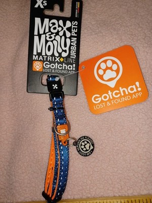 Max And Molly Xs Pet Collar With Micro Chip
