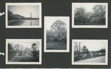 Vintage 1940s Black  White Photograph Lot of 10 US Landmarks Travel Photos