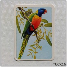 Tuckfield's Australiana Series Birds #124 Rainbow Lorikeet (Tuck16)