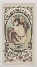2019 Topps Allen & Ginter Collectable Canines Minis Siberian Husky #CC-5 2k3