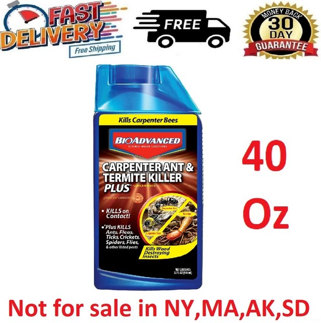 BioAdvanced Carpenter Ant & Termite Killer Plus Concentrate