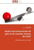Wael Hamd (U. A.) | éTude Microstructurale De Gels Et De Couches Minces De Sno2