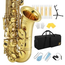 Professional Alto Saxophone Golden E Flat Eb Cleaning Carrying Case Mouthpiece