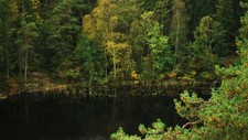 Landscape pond nature trees water river forest Custom Gaming Mat Desk