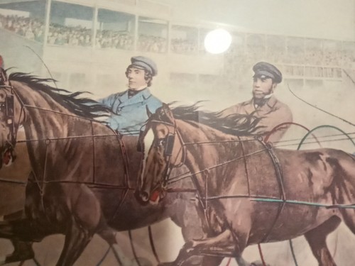 Currier & Ives Lady Woodruff, Millers Damsel, General Darcy and Stella 16" x 11" - Picture 8 of 14