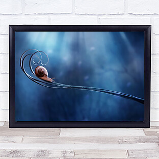 Schöne Schnecke blau Bokeh Muschel Wandkunstdruck