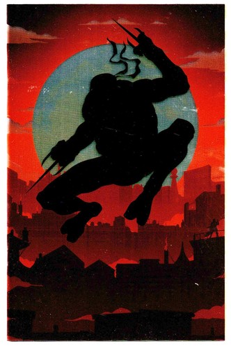 TEENAGE MUTANT NINJA TURTLES #1 (2024)- SET VARIANTE ESCLUSIVA DAVIS RIDER - Foto 4 di 5