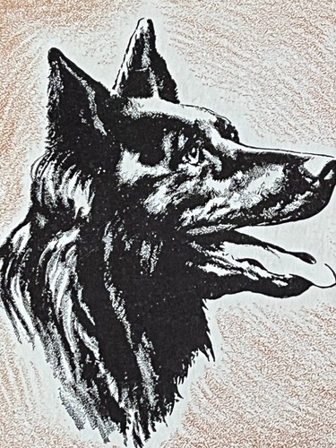 ADELAIDE HIEBEL ARTIST GROENENDAEL BELGIAN SHEEP DOG 1952 BLOTTER UNION CENTRAL