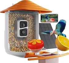 Smart Bird Feeder with Camera Solar Powered, Bird Watching, AI Identify Species,