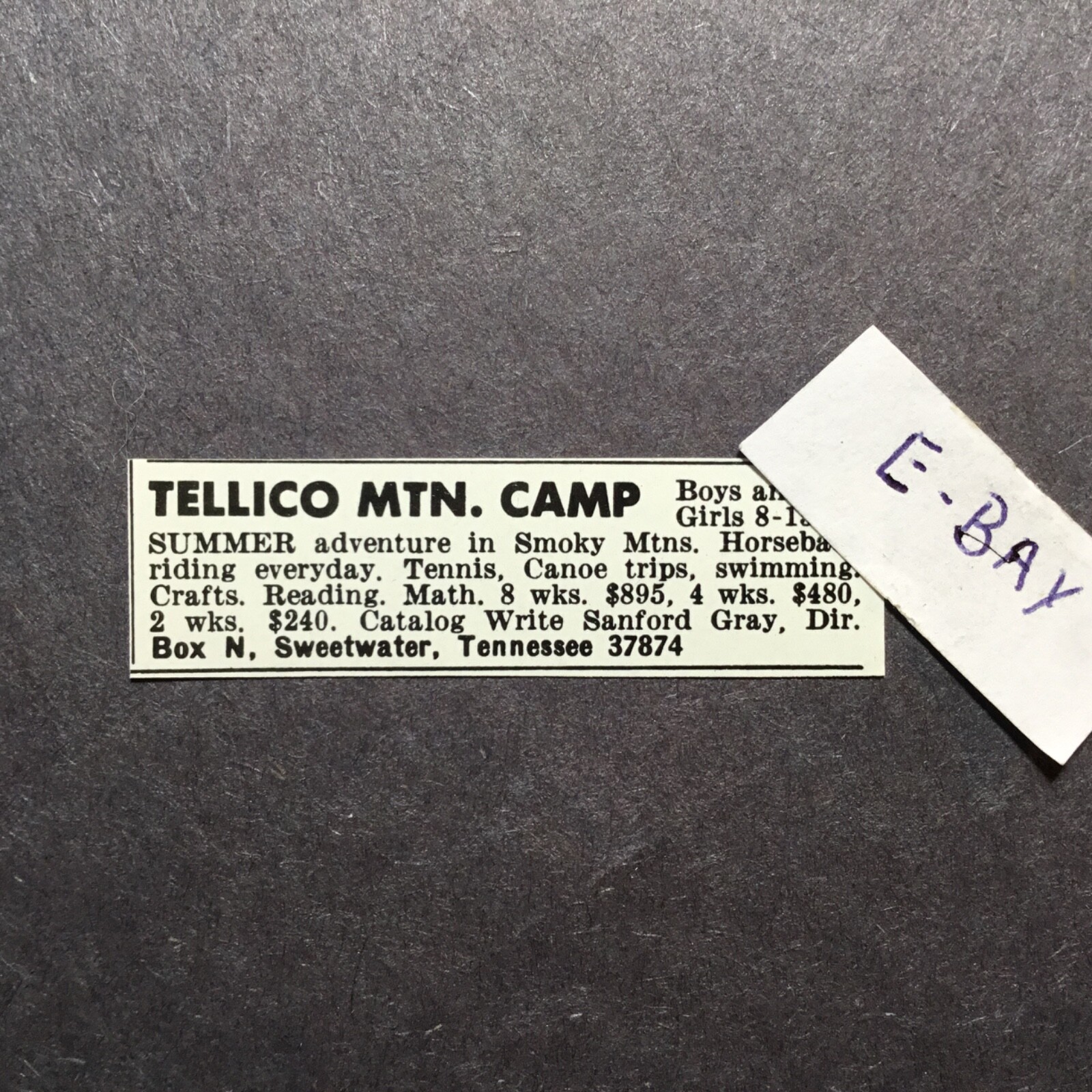 1978 Ad. Tellico Mountain Camp. Sweetwater, Tennessee. Sanford Gray | eBay